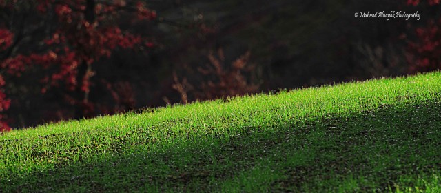 Mahmut Altıaylık'tan en güzel Çorum fotoğrafları 1