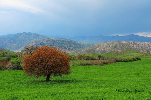 Mahmut Altıaylık'tan en güzel Çorum fotoğrafları 1