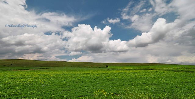 Mahmut Altıaylık'tan en güzel Çorum fotoğrafları 1