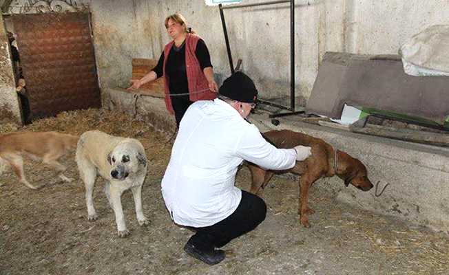 Başkan onun için özel ekip gönderdi