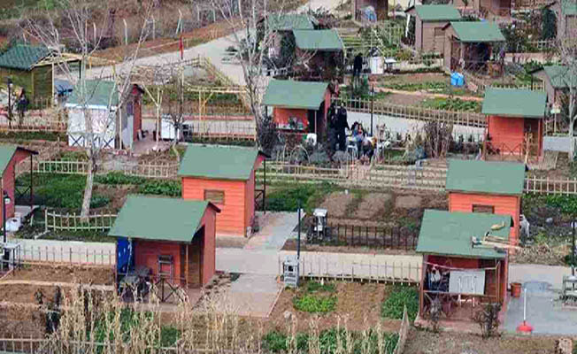 Kaçak hobi bahçelerine cezai işlem başladı