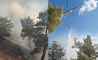 Orman yangını, havadan müdahale ediliyor