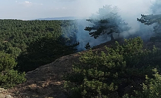 Ormanlık alanda yangın