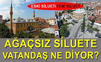 Ağaç kesimine vatandaş ne dedi?