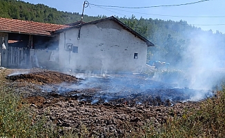 Gübre yangını