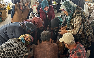 Mantar izdihamı! Dakikalar içinde tükendi